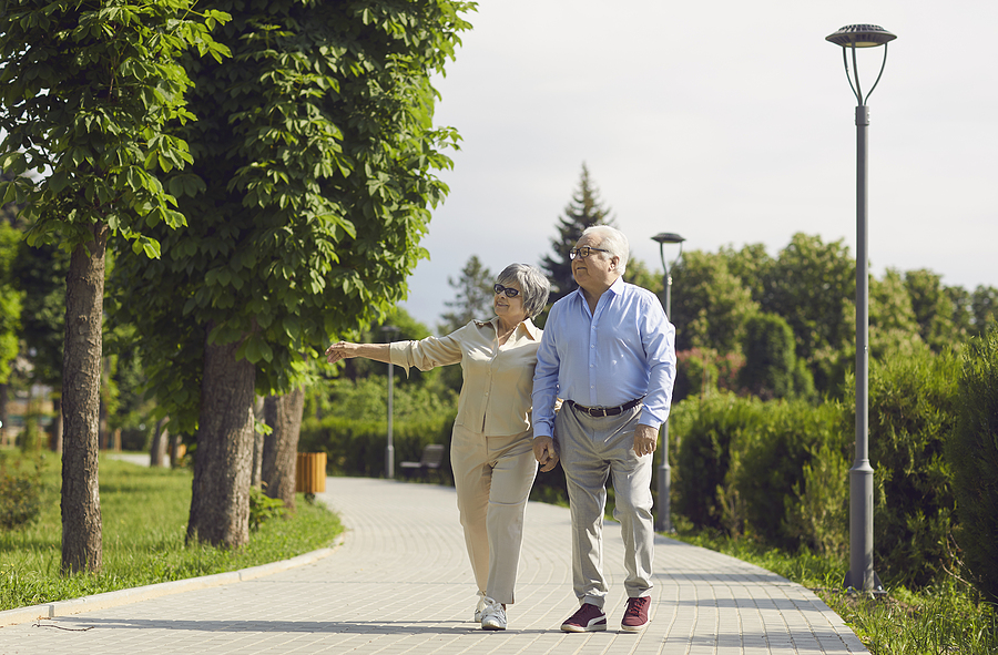 Senior couple walking in park enjoying healthy aging in action.